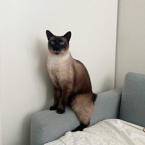 Meet your Posher, AY